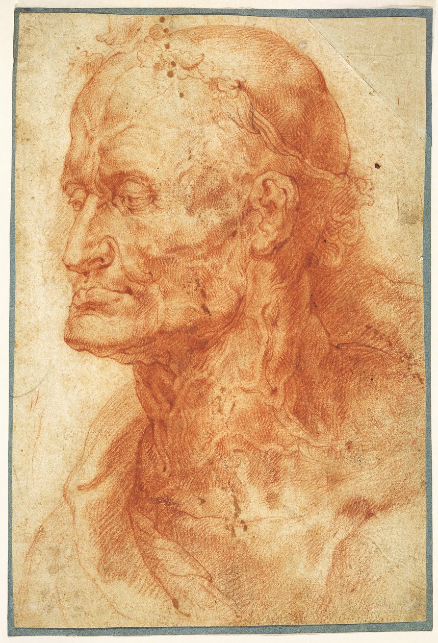 Tanulmány egy öregember fejéről, 1602 körül. alkotó: Pieter Paul Rubens
