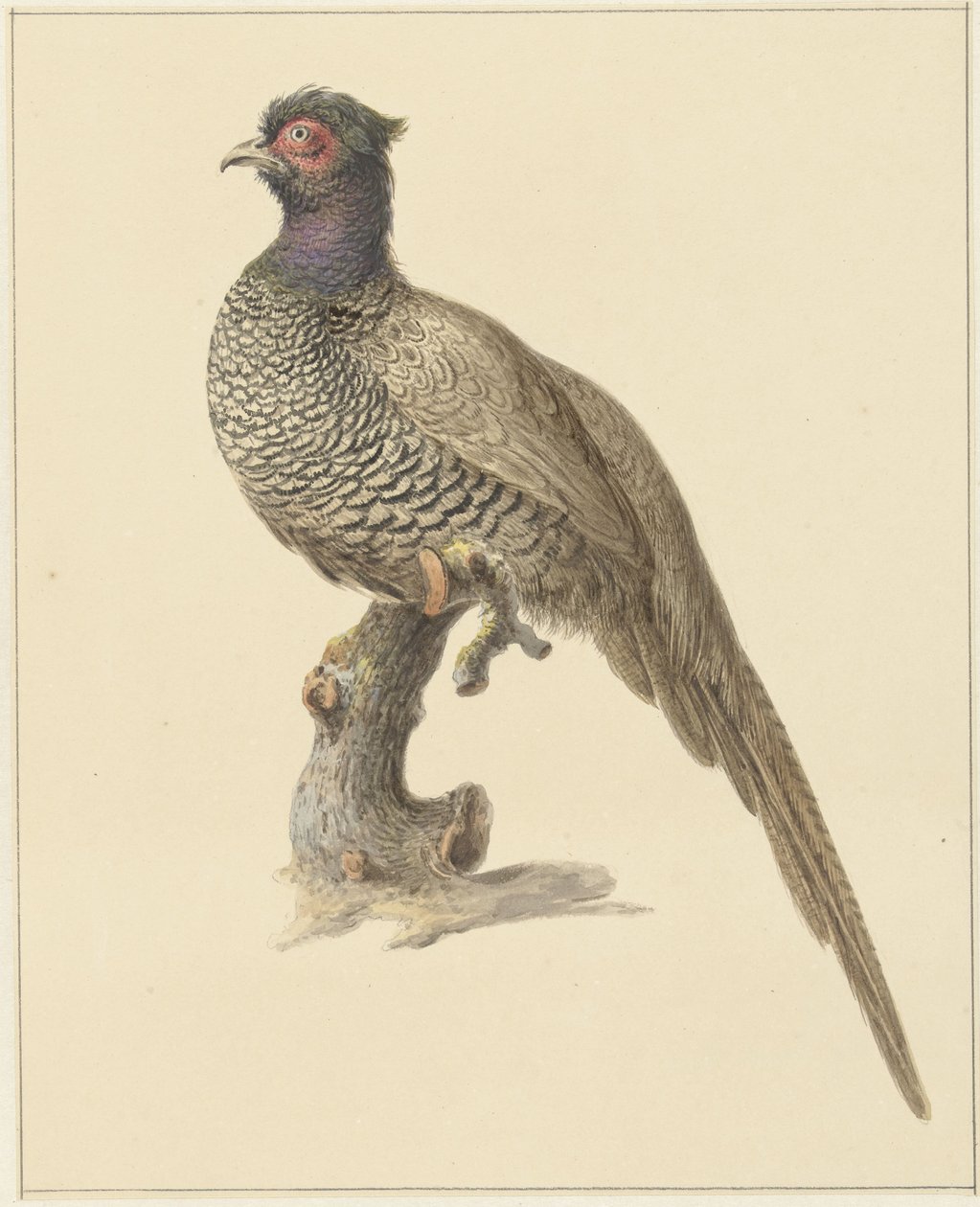 Fácán vadászat alkotó: Pieter Pietersz. Barbiers