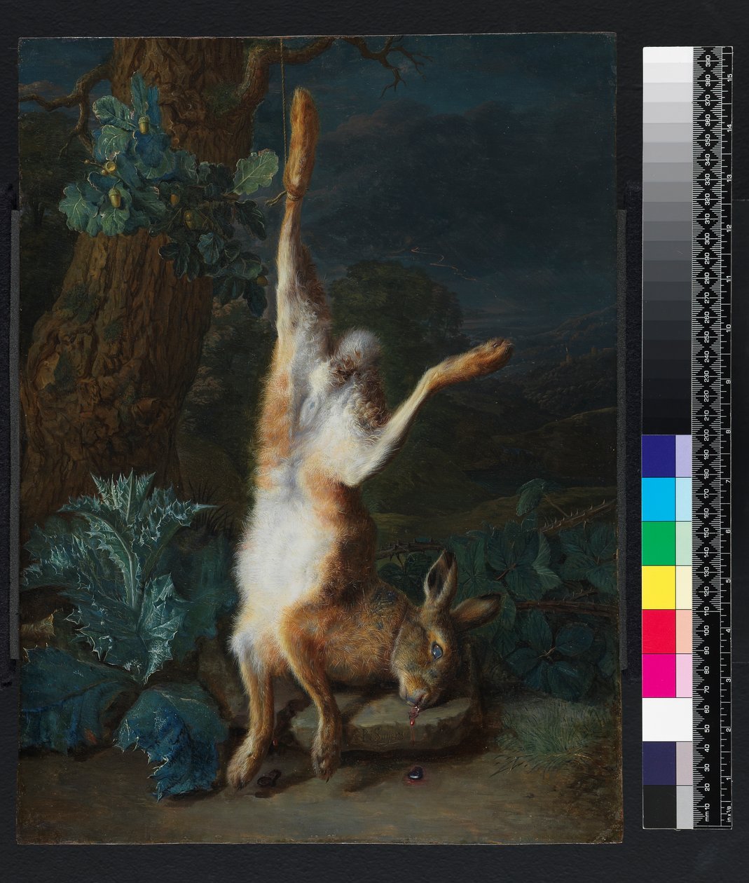 Egy döglött nyúl, 1782 előtt alkotó: Pieter Snyers