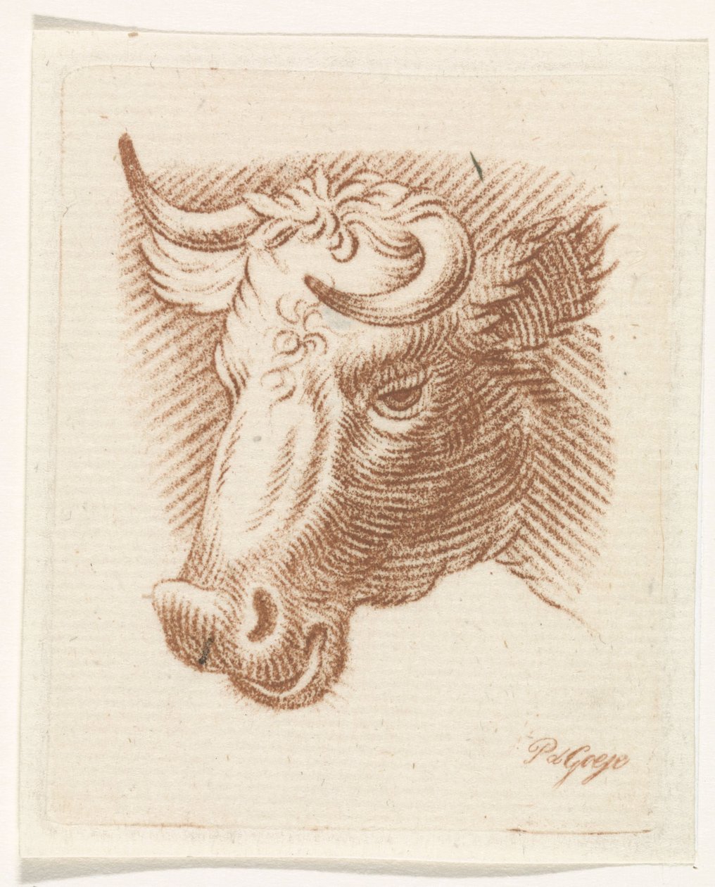 Egy bika feje alkotó: Pieter de Goeje