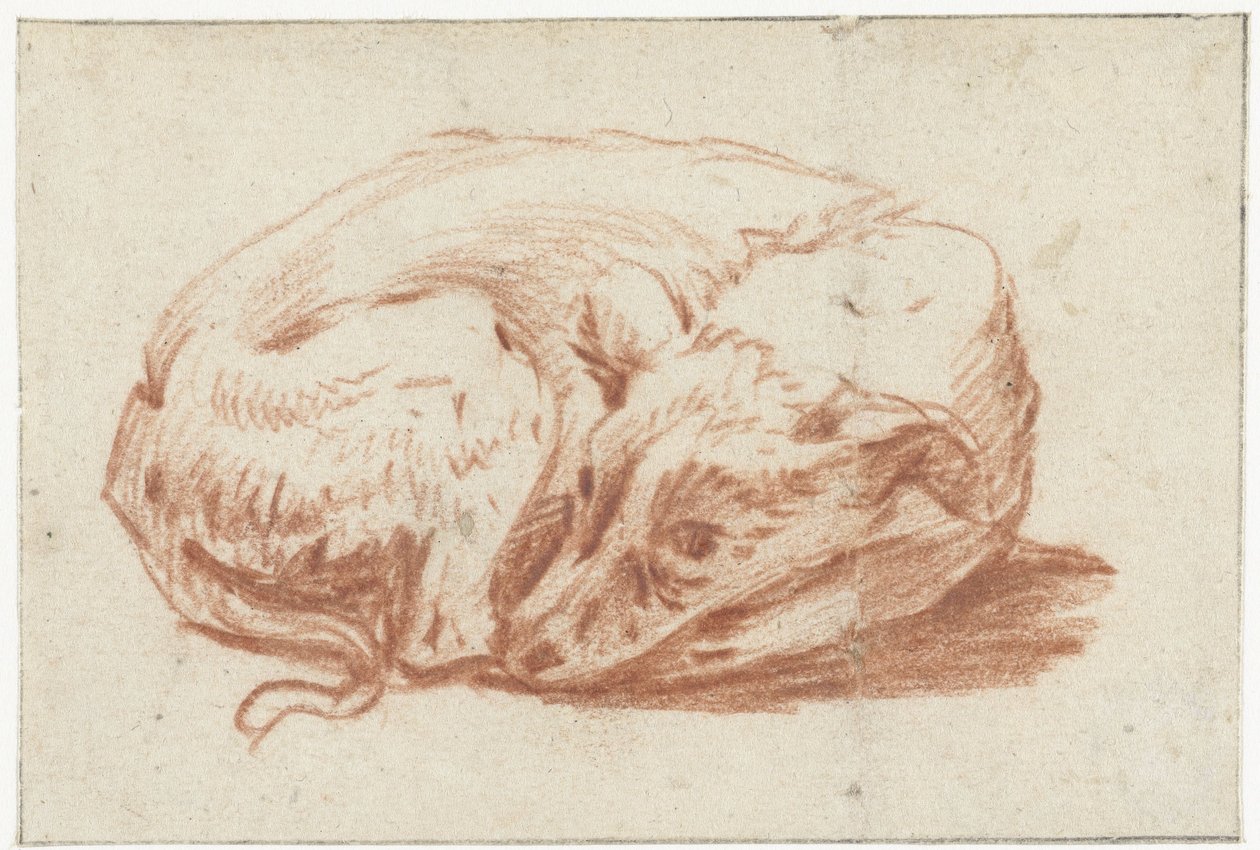 fekvő kutya alkotó: Pieter van Bloemen