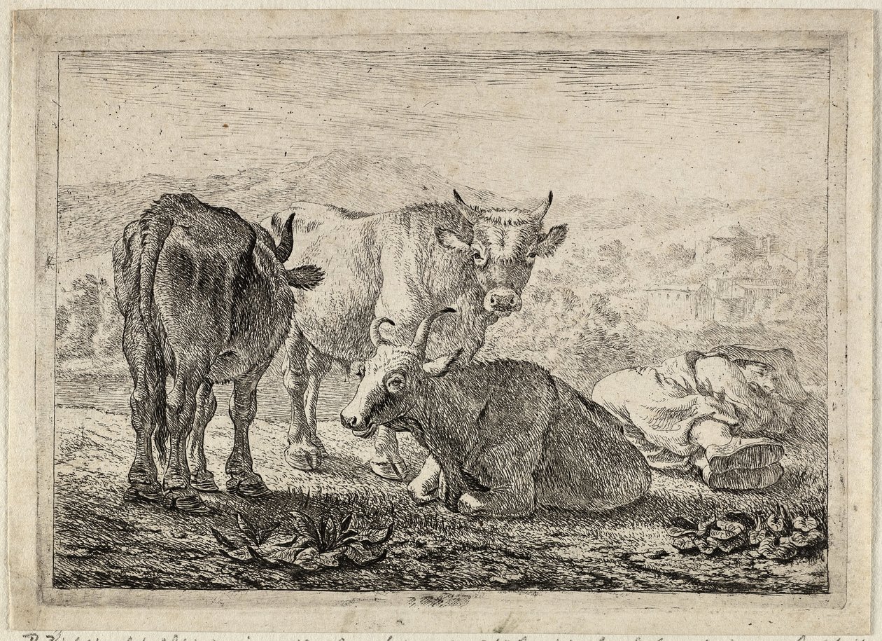 Német: Drei Rinder und ein schlafender Hirte
Francia: Les boeufs
Három szarvasmarha és egy alvó pásztor alkotó: Pieter van Laer