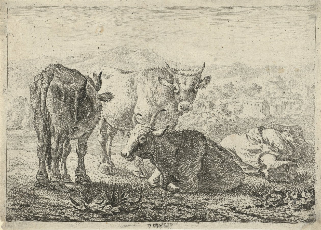 Német: Drei Rinder und ein schlafender Hirte
Francia: Les boeufs
Három marha és egy alvó pásztor alkotó: Pieter van Laer