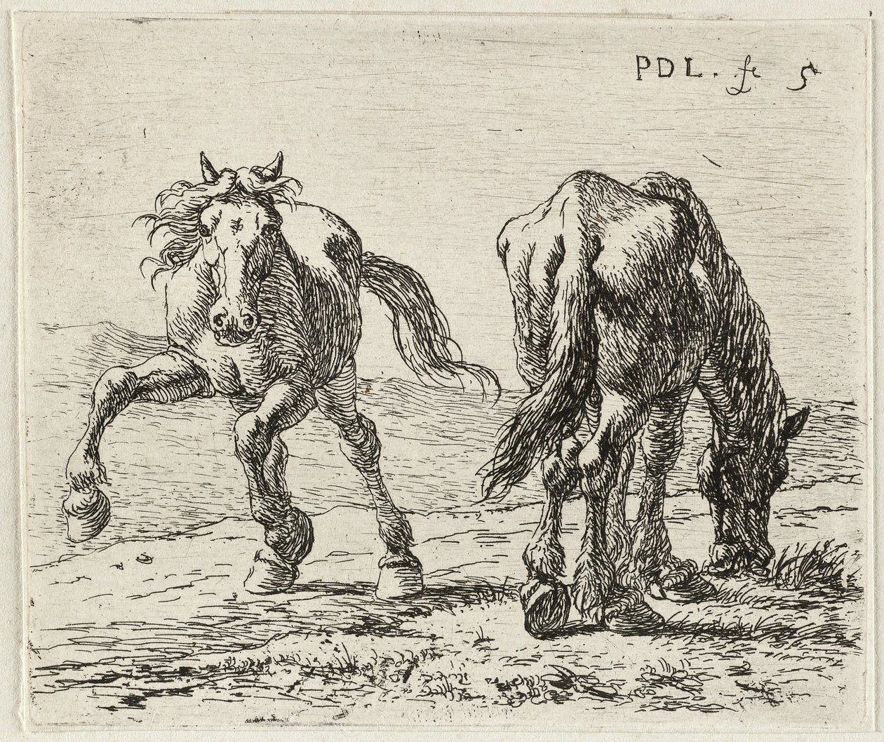 Német: Zwei Pferde auf einer Weide
Francia: Les deux chevaux au pâturage
Két ló a réten alkotó: Pieter van Laer