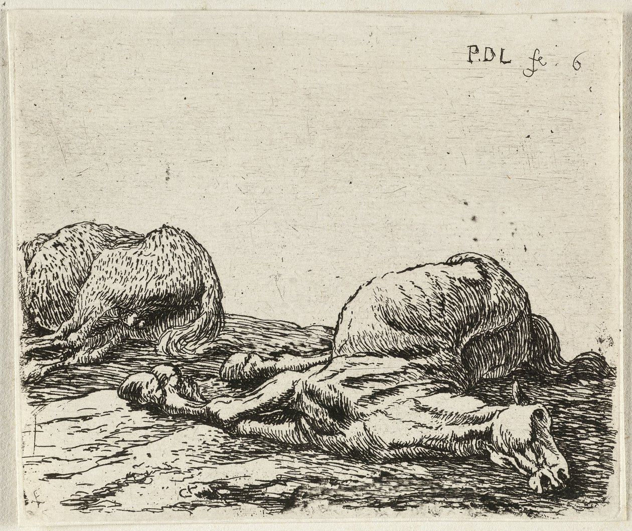 Német: Zwei tote Pferde
Francia: Les deux chevaux morts
Két halott ló alkotó: Pieter van Laer