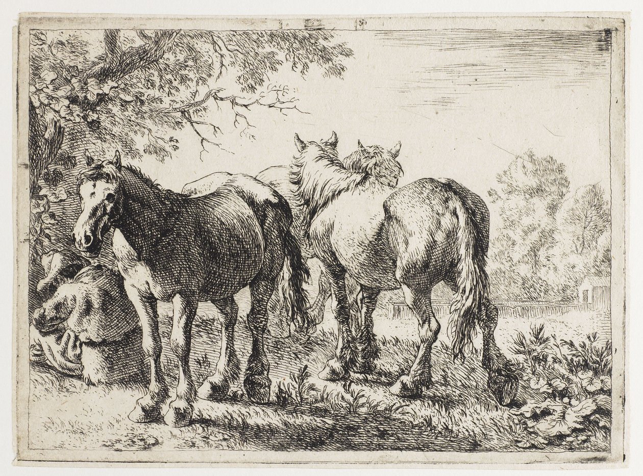 Három ló a mezőn alkotó: Pieter van Laer