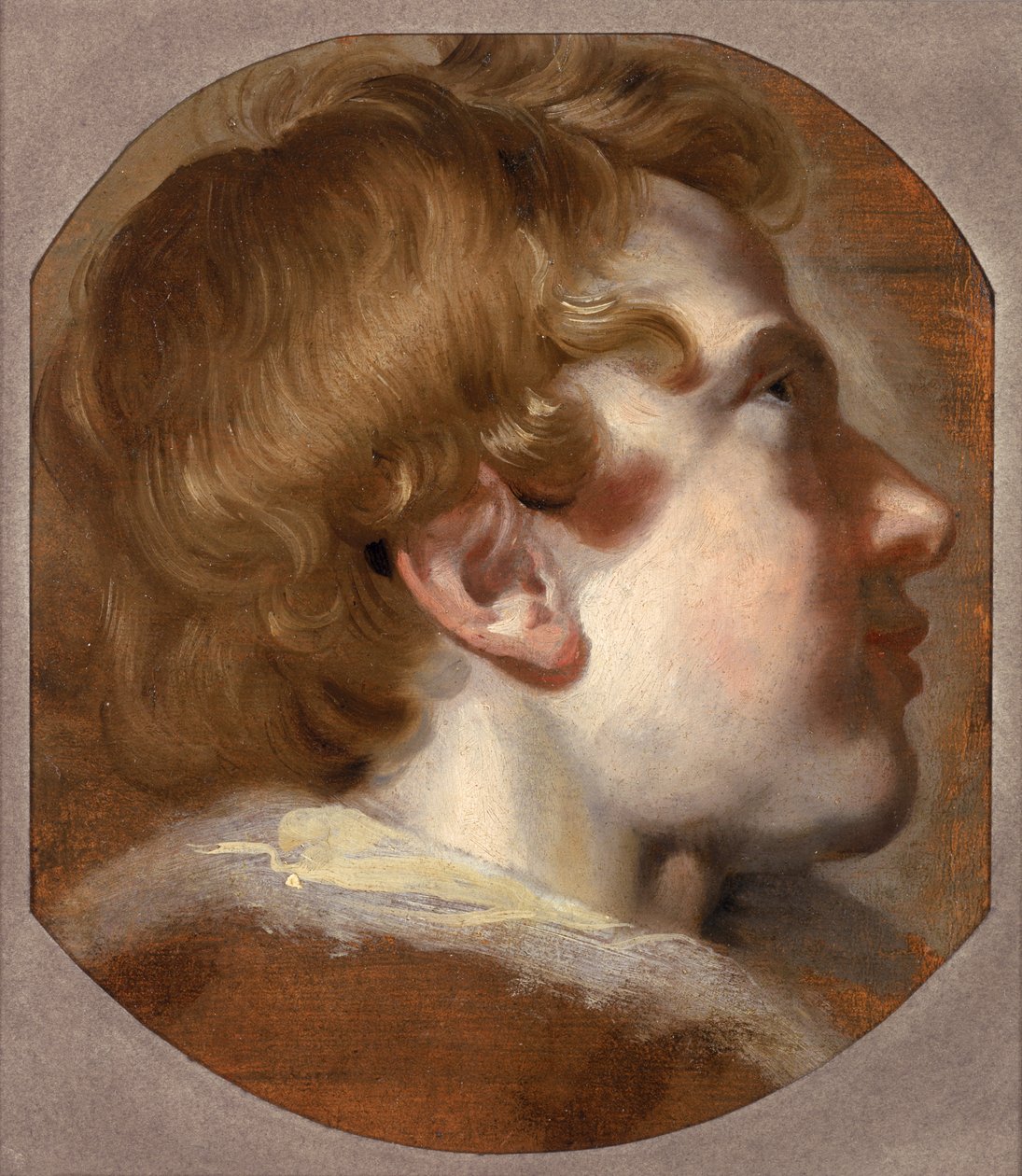 Egy fiatal fiú feje, 1620-as évek (olaj, papír) alkotó: Pieter van Mol