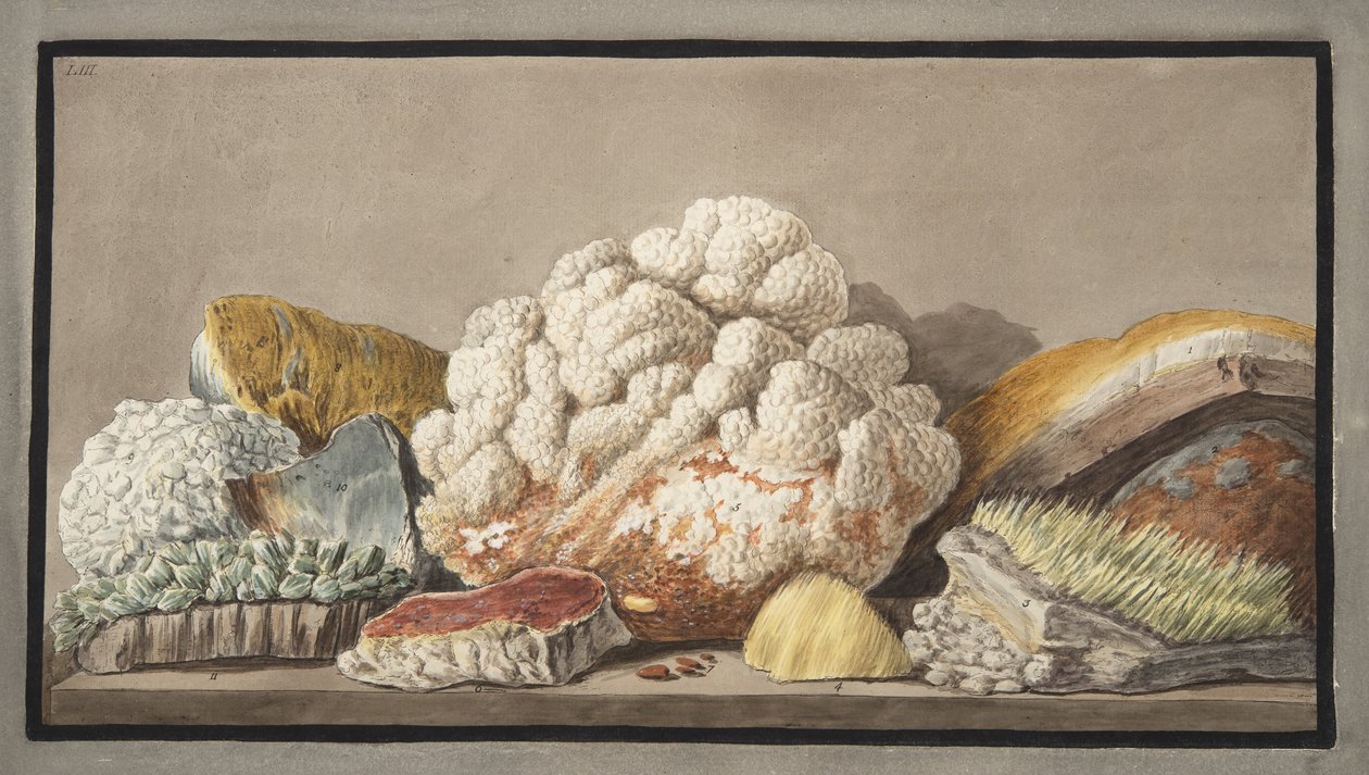 A Solfaterra produkciói, 9. lemez a „Campi Phlegraei: Observations on the Volcanoes of the Two Sicilies”-ből, Sir William Hamilton (1730-1803), megjelent 1776. alkotó: Pietro Fabris
