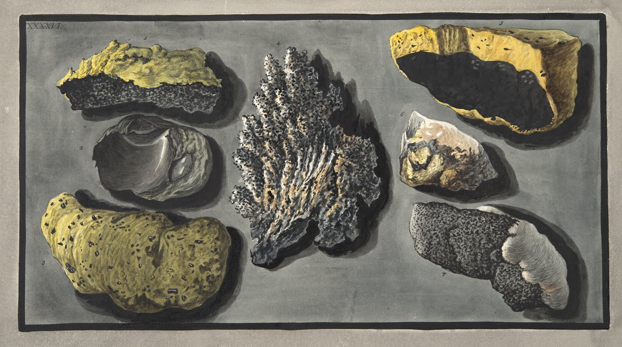 A Vezúv kráterében talált vulkáni anyag példányai, a XXXXVI. tábla, Sir William Hamilton (1730-1803) „Campi Phlegraei: Observations on the Volcanoes of the Two Sicilies” c. alkotó: Pietro Fabris
