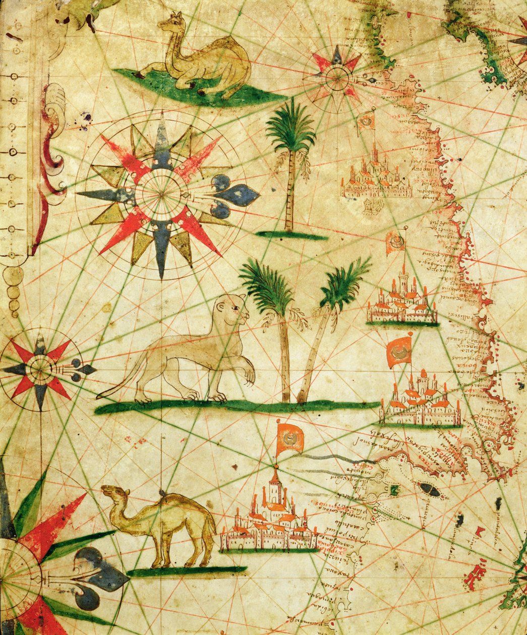 Afrika északi partja, egy tengeri atlaszból, 1651 (tinta pergamen) (részlet a 330922-ből) alkotó: Pietro Giovanni Prunes
