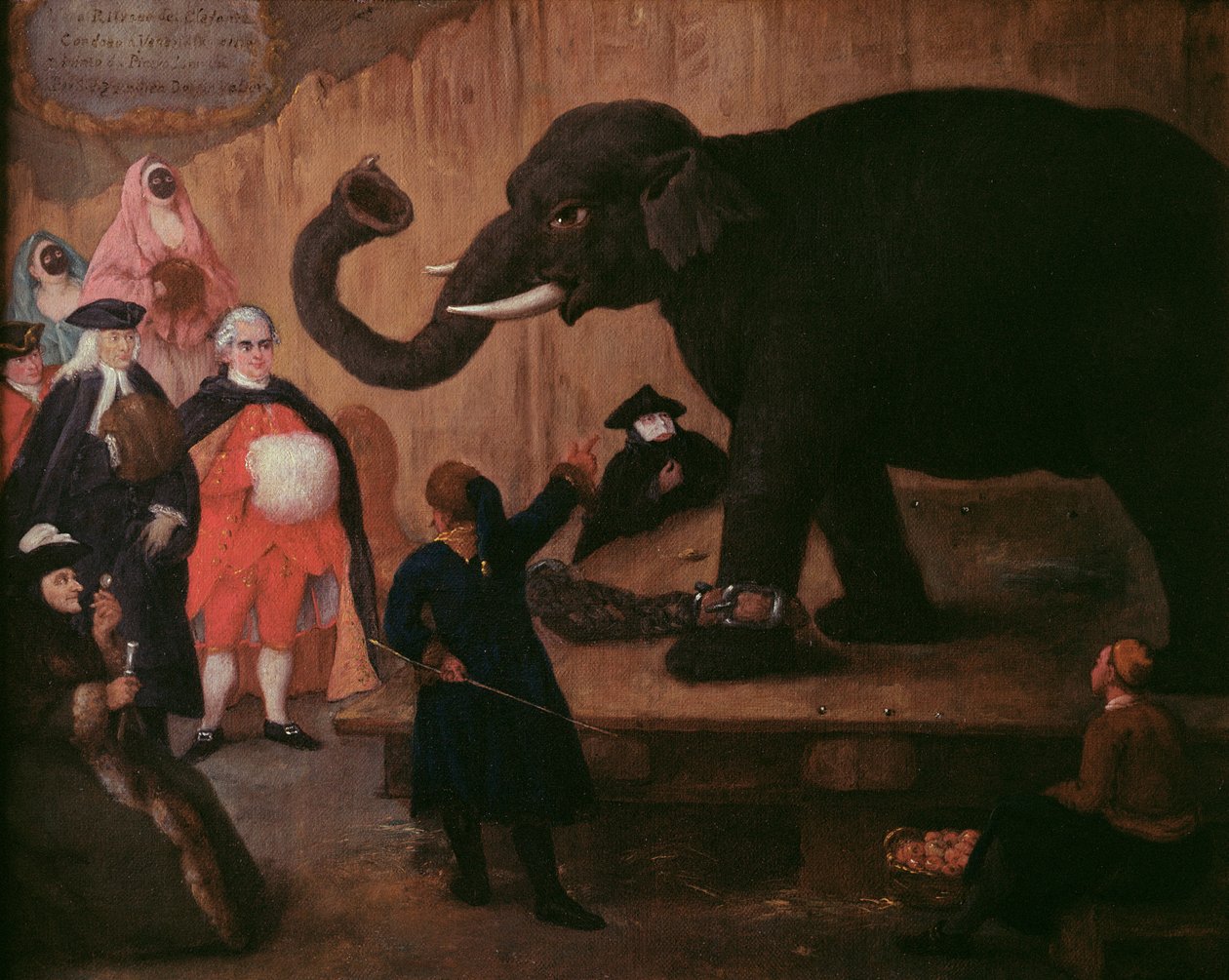 Egy elefánt Velencében alkotó: Pietro Longhi