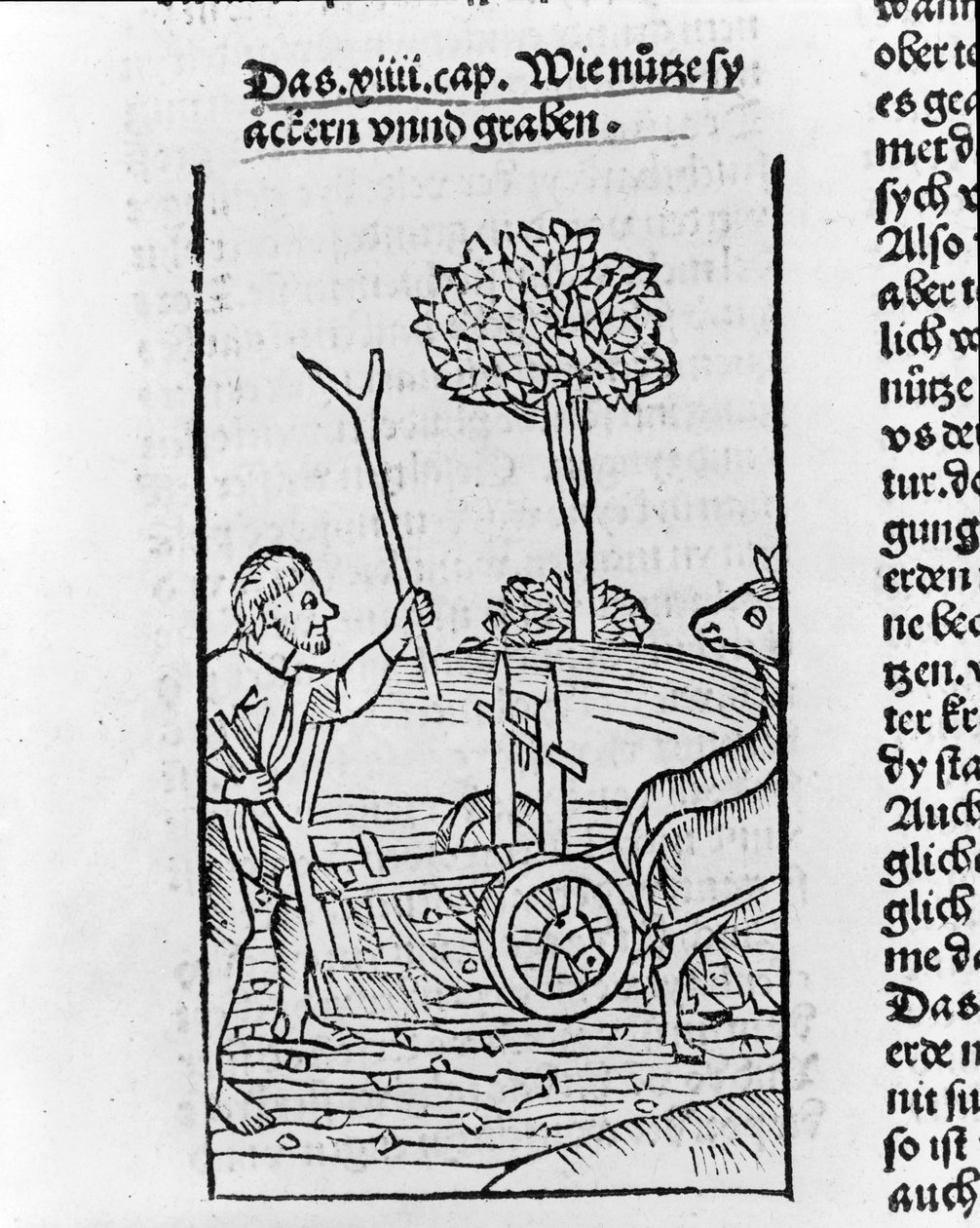 Farmer szántóföldet ábrázoló fametszet alkotó: Pietro de