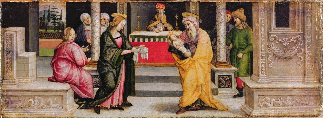 A bemutató a templomban, 1510 körül (tempera a panelen) alkotó: Pietro (follower of) Perugino