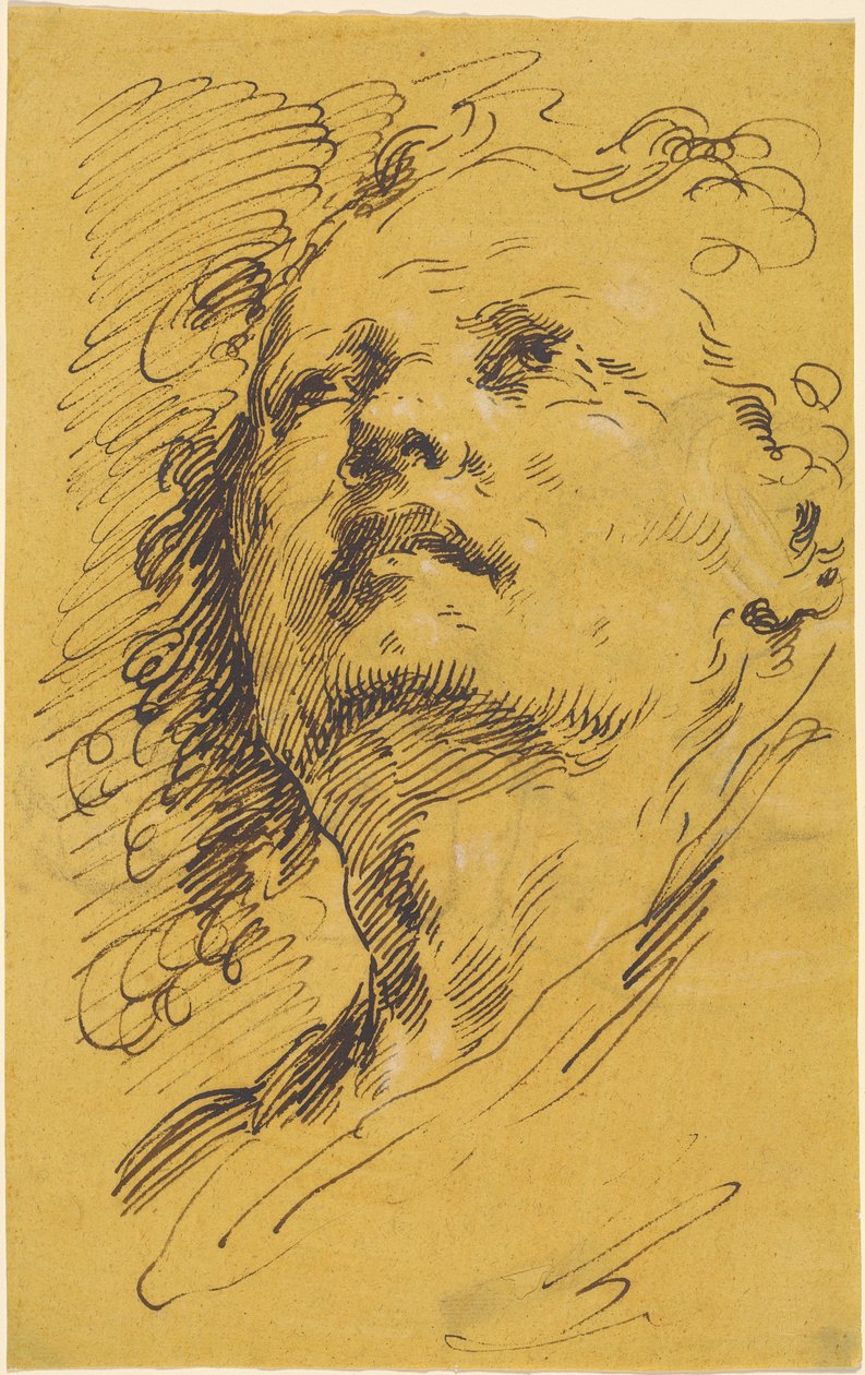 Felnéző férfi feje alkotó: Pietro Antonio Novelli