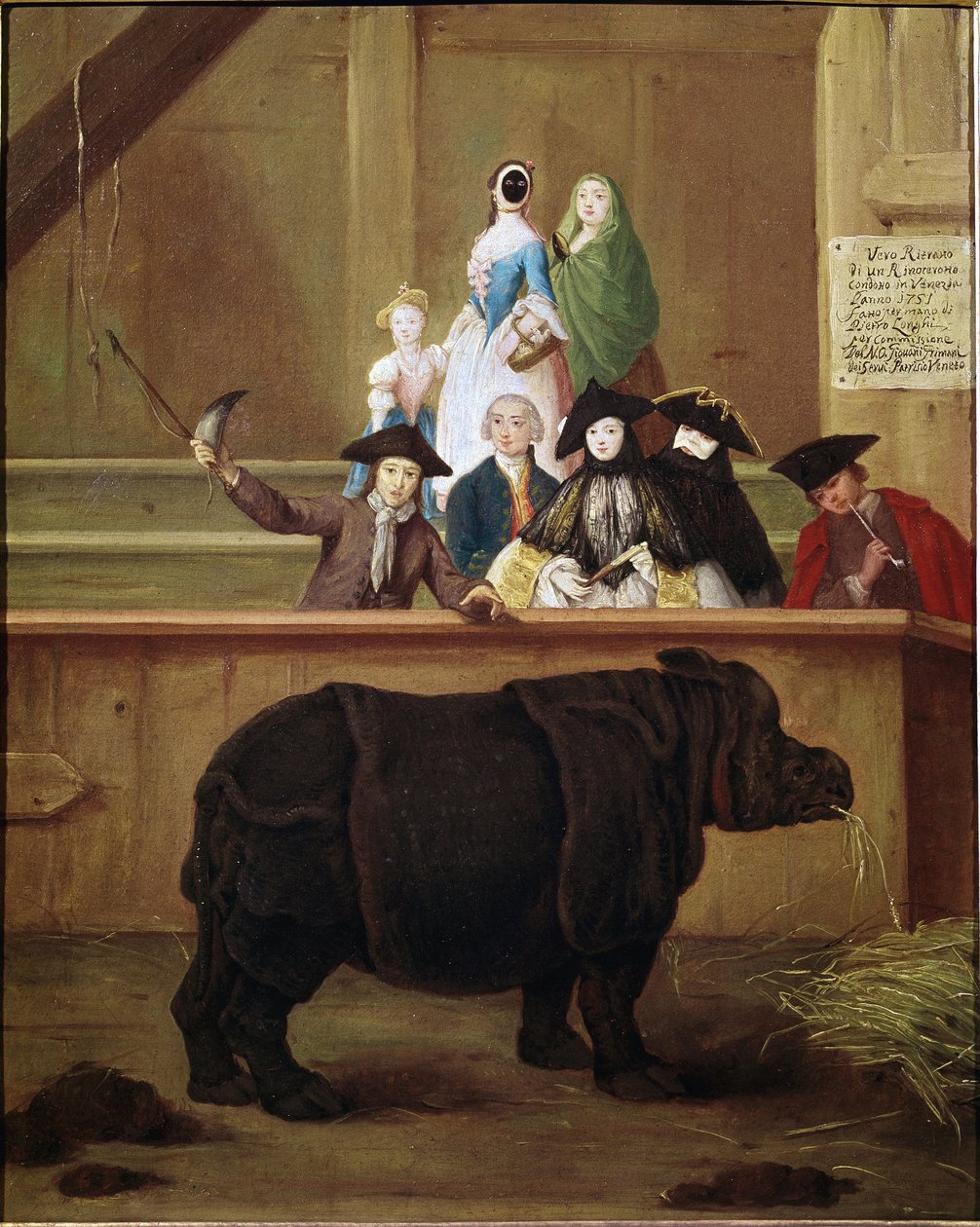 Orrszarvú: Clara, indiai orrszarvú kiállítása. Pietro Longhi (1702-1785) festménye. 1751. 18. századi velencei múzeum. Ca 