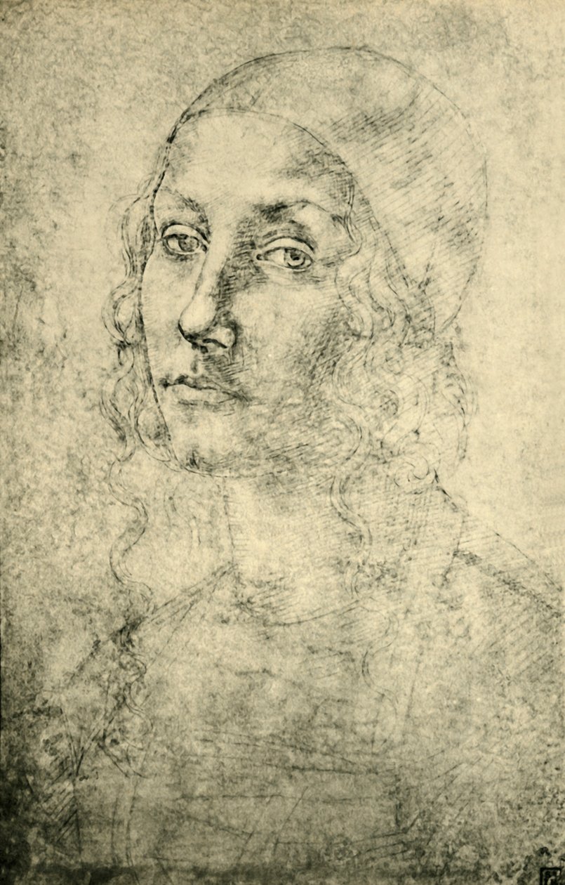 Női portré, 15. század vége – 16. század eleje, 1943. alkotó: Pietro Perugino