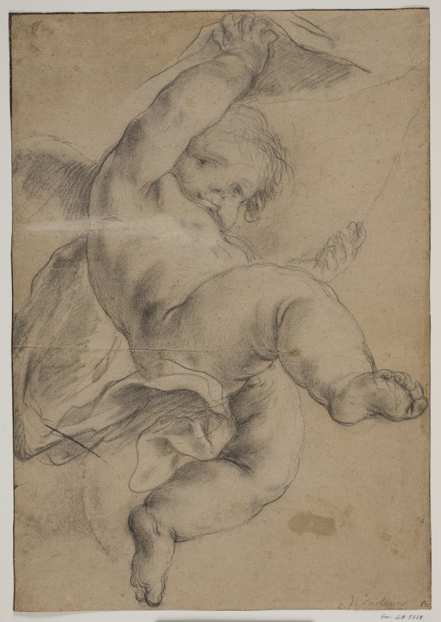Repülő puttó függönyt emel alkotó: Pietro da Cortona