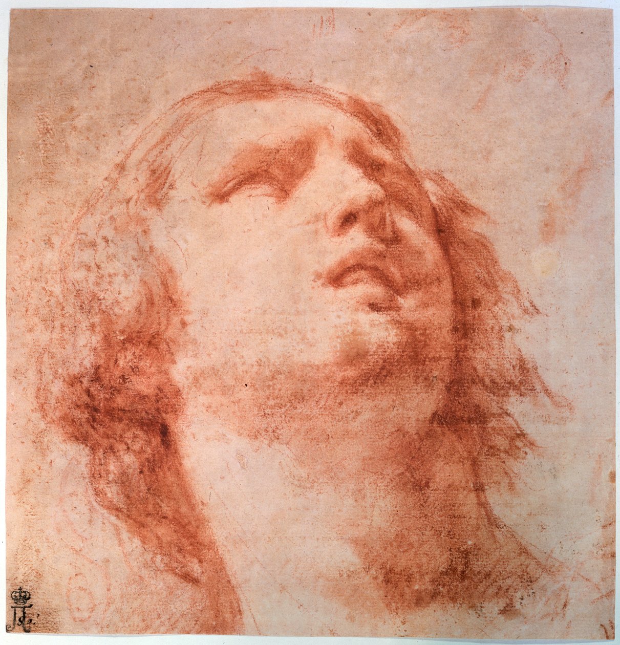 Fejtanulmány egy nőről, aki felnéz, 17. század alkotó: Pietro da Cortona