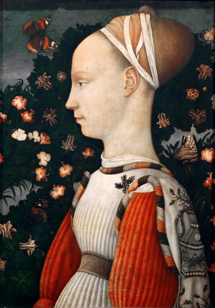 Ginevra d