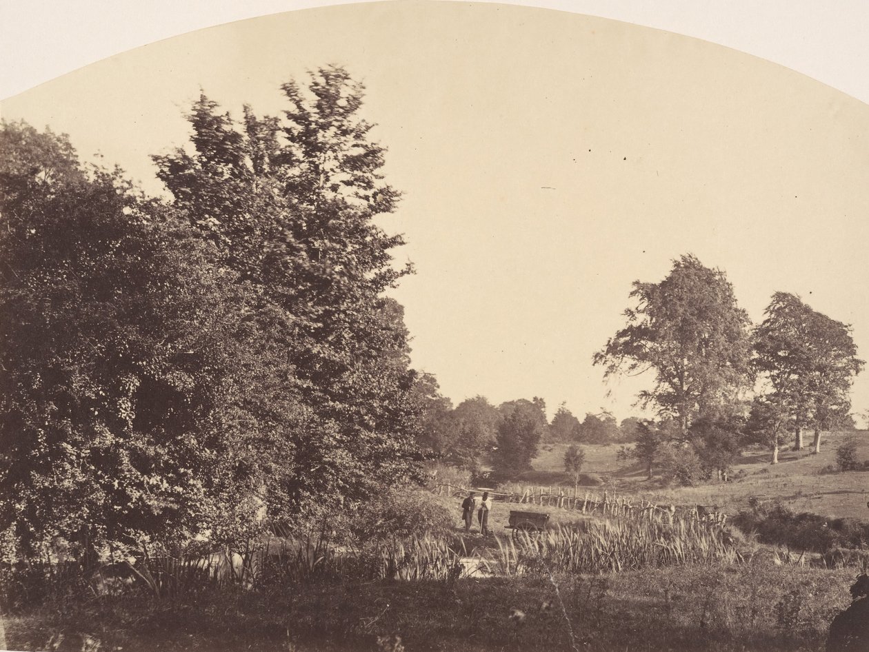 The Woodland Stream, 1856. alkotó: Plunket