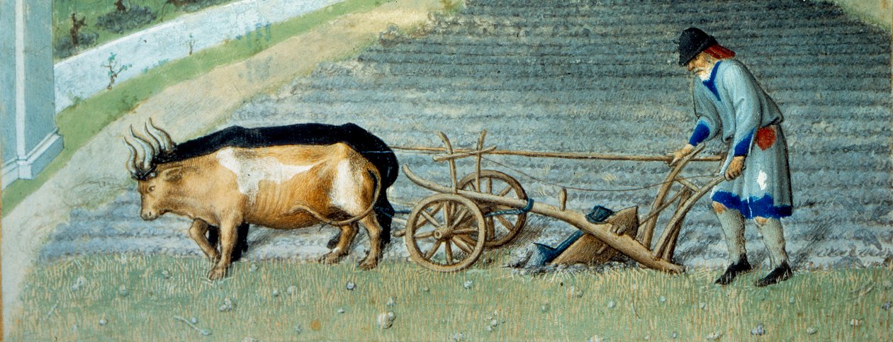 Március: hó Mezőgazdasági munka, paraszt szántó. Részlet. Miniatűr a „Berry herceg igen gazdag óráiban”, Pol De Limburg (15. század). Chantilly, Musee Conde alkotó: Pol de Limbourg