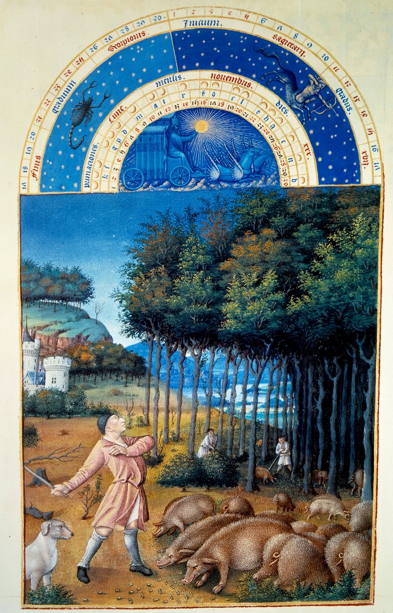 November: makkvágás. Miniatűr a „Berry herceg igen gazdag óráiban”, Pol De Limburg (15. század). Chantilly, Musee Conde alkotó: Pol de Limbourg
