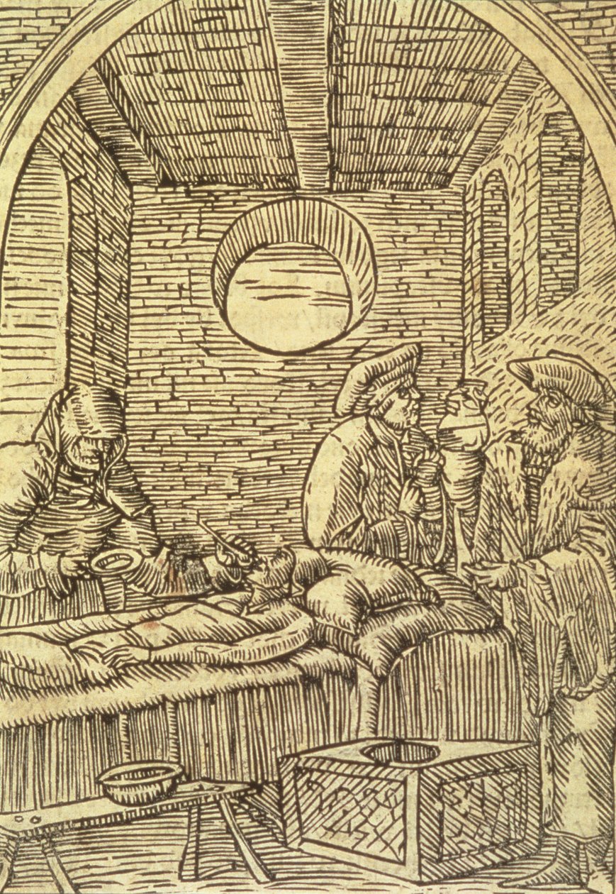 Gyógynövények beadása, 1534 alkotó: Polish School