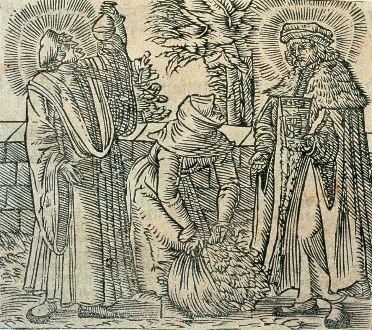 Gyógynövények gyűjtése az orvostudomány számára, 1534 alkotó: Polish School
