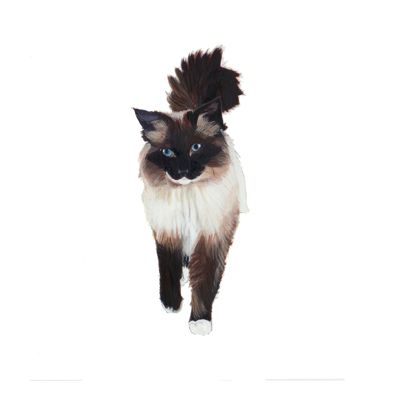 Ragdoll, 2014 (akvarell és gouache, papír) alkotó: Polly Horner