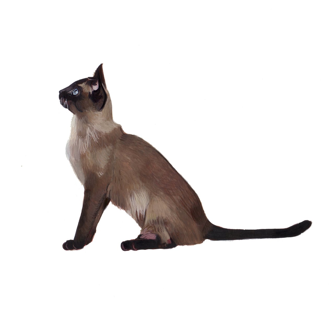  alkotó: Polly Horner