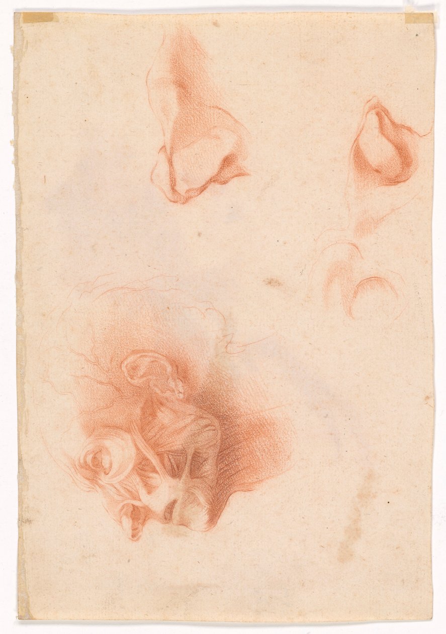 Férfi feje, arc profilban (recto); Anatómiai vizsgálat, arc profilban (fordítva) alkotó: Pompeo Girolamo Batoni