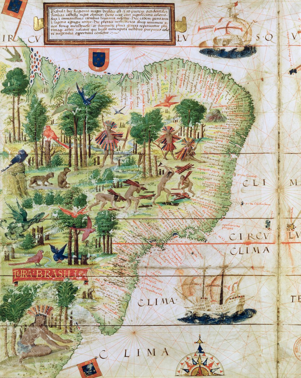 Brazília Pedro Reinel "Miller Atlas"-ából, 1519 körül (a 75615-ös kép részlete). alkotó: Portuguese School