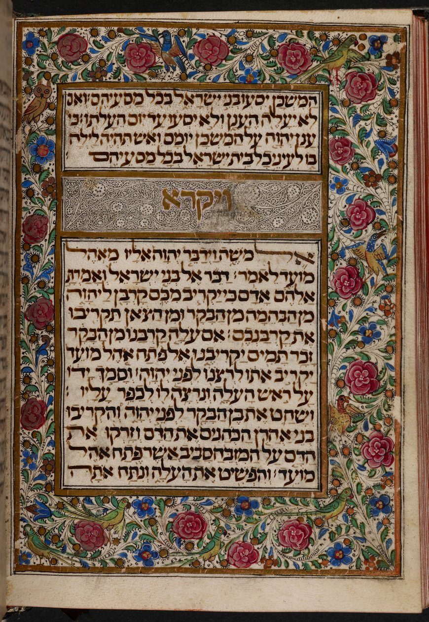 Add.27167,,f.148v Almanzi Pentateuch: Frontispiece Leviticus elején, Lisszabon; 15. század 3. negyede alkotó: Portuguese School