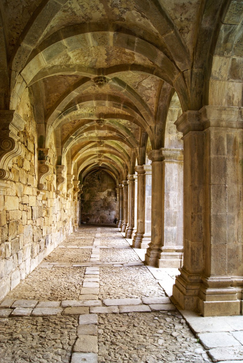 Kilátás a kolostorokra, a Santa Maria de Salzedas kolostorra, Tarouca, Portugália (kő) alkotó: Portuguese School
