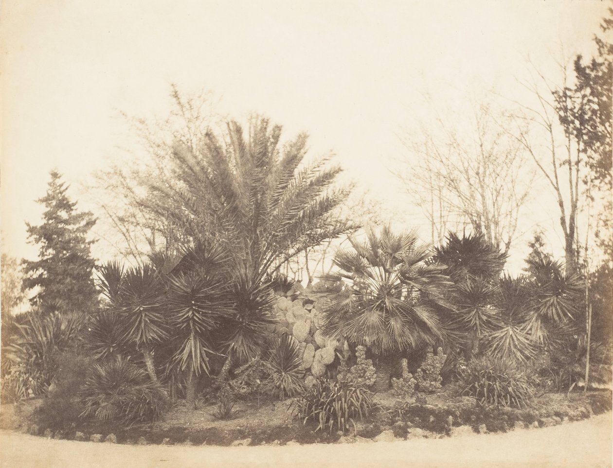 Pincian Garden, Róma, 1853-56. alkotó: Possibly by Jane Martha St. John.