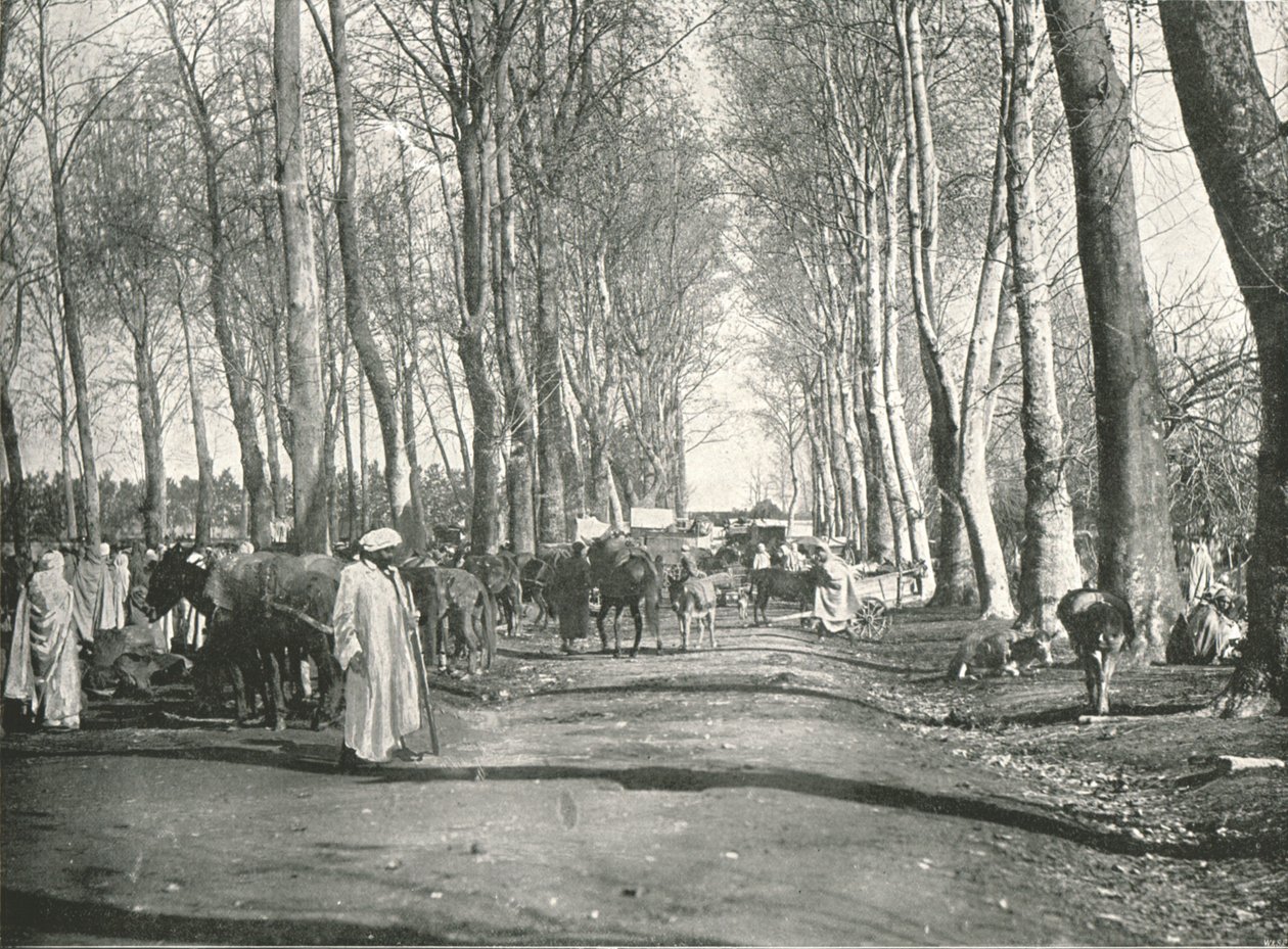 Arab vásár és piac, Boufarik, Algéria, 1895. alkotó: Poulton and Co