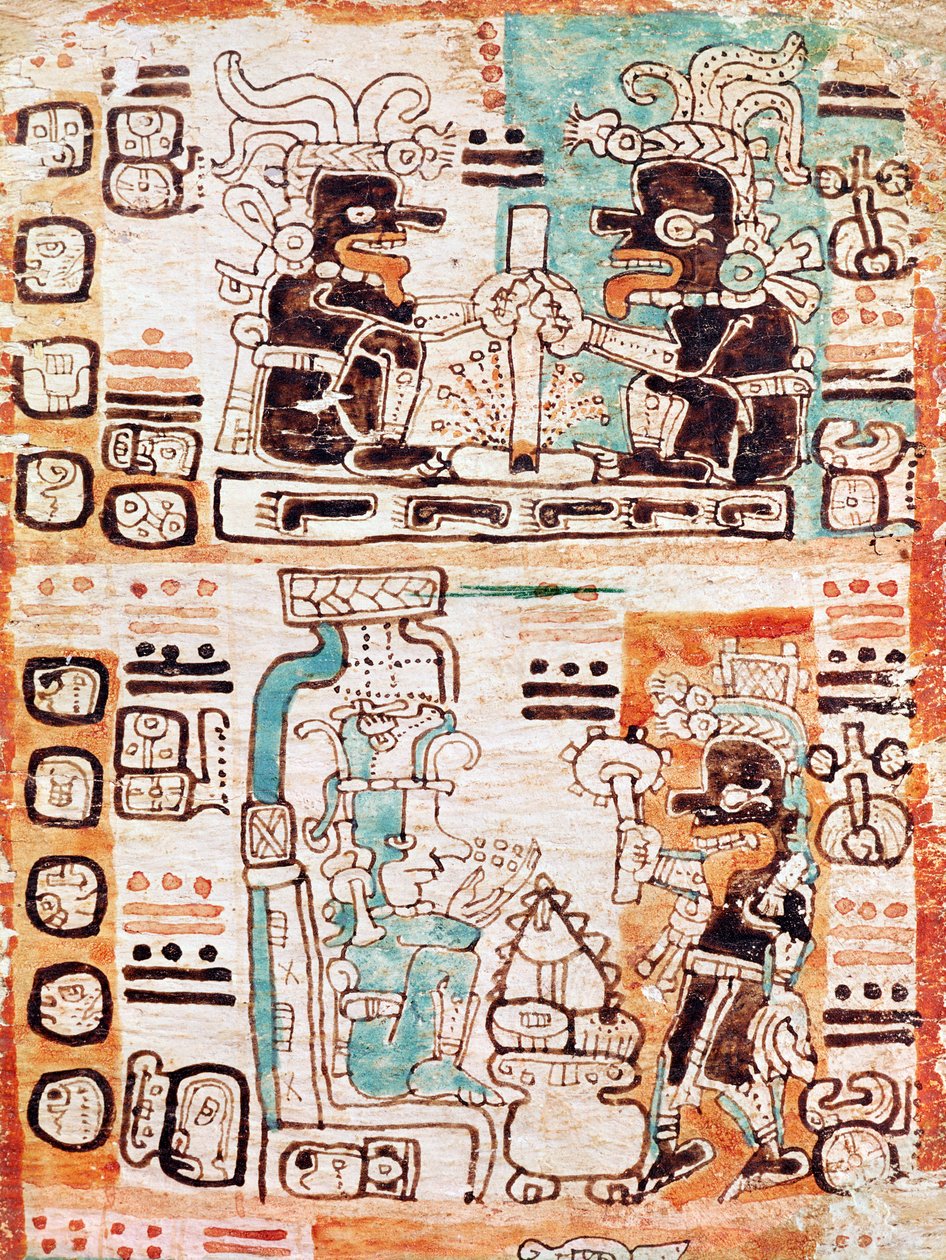 Részlet egy maja kódexből alkotó: Pre Columbian