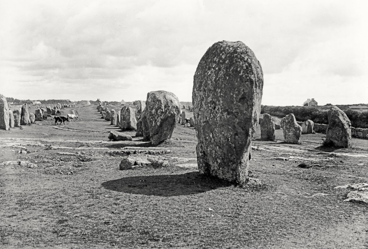 Álló kövek igazodása, megalitikum, Kr. e. 4-3. évezred alkotó: Prehistoric