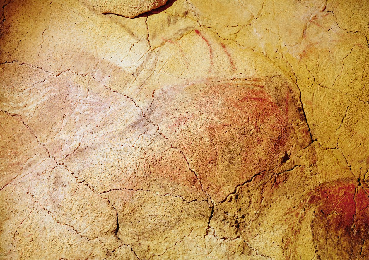 Bölény, az altamirai barlangokból, ie 15 000 körül (barlangfestés) alkotó: Prehistoric