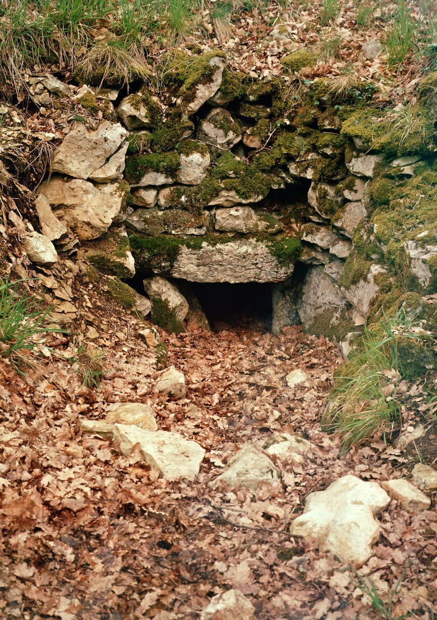 Fedett bejárat egy tumulusba alkotó: Prehistoric