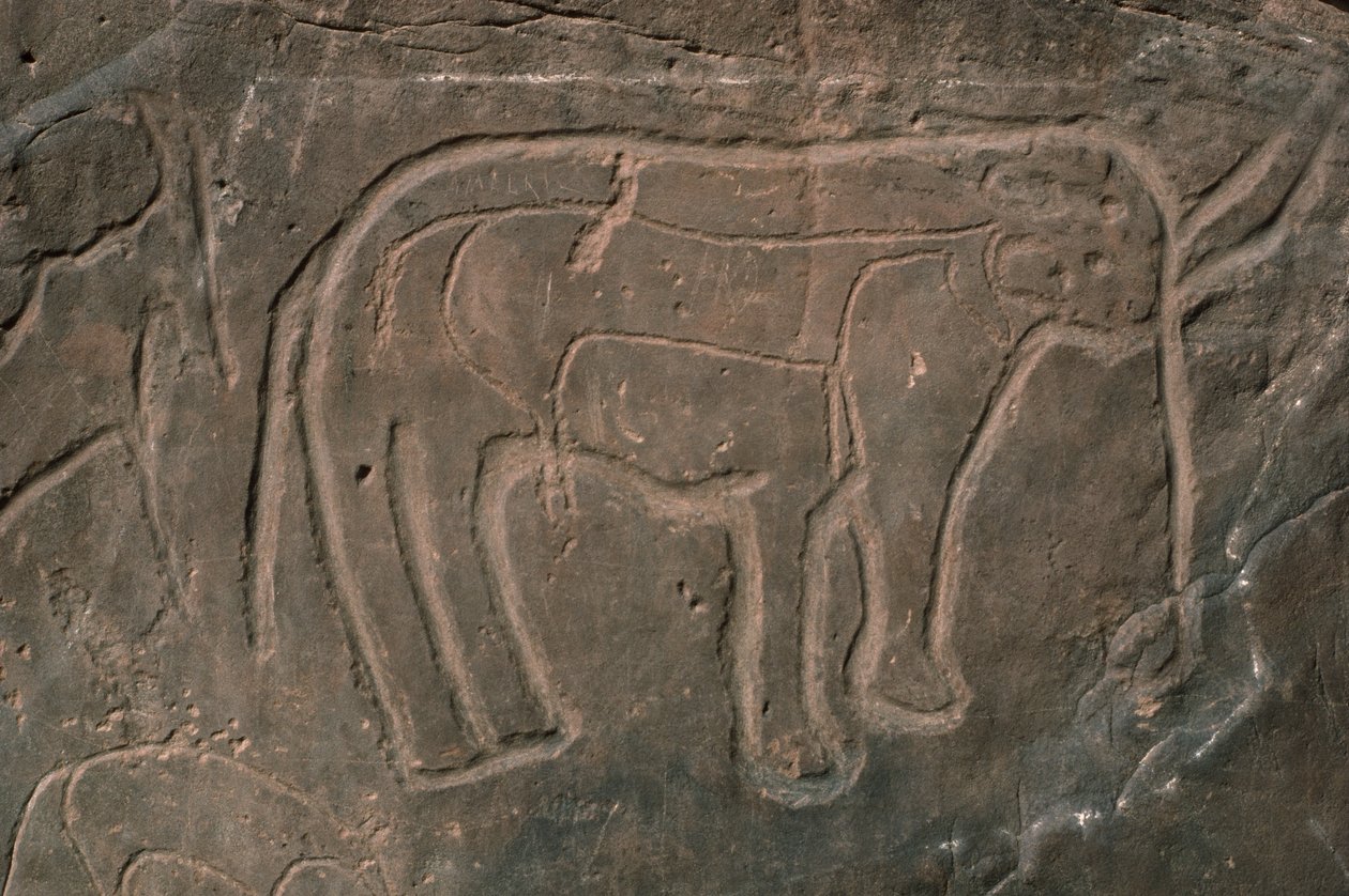 Mamut (sziklafaragás) alkotó: Prehistoric