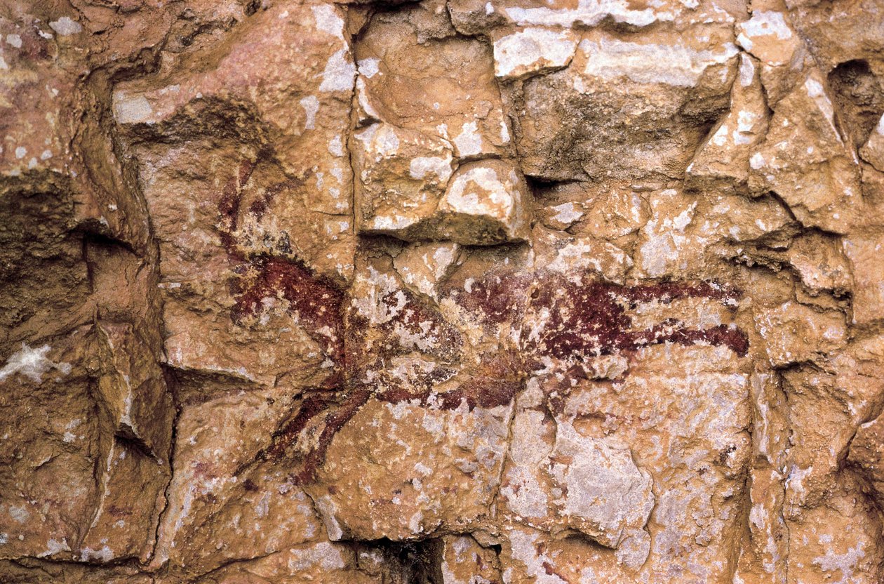Futó kecske, mezolitikum, Spanyolország, Remigia-barlang, Barranco de la Gasulla, Ares del Maestre (festmény) alkotó: Prehistoric Prehistoric