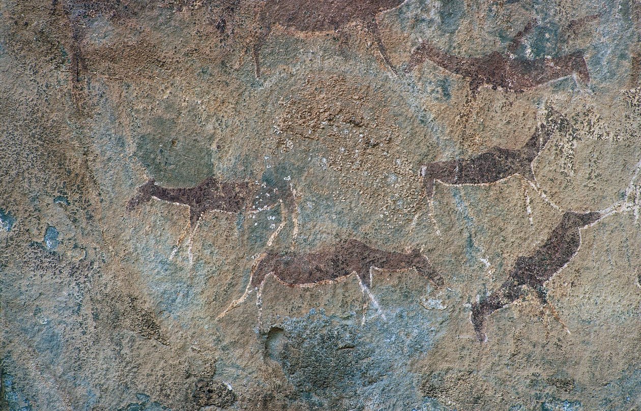 Állatfigurák (barlangfestészet) alkotó: Prehistoric Prehistoric