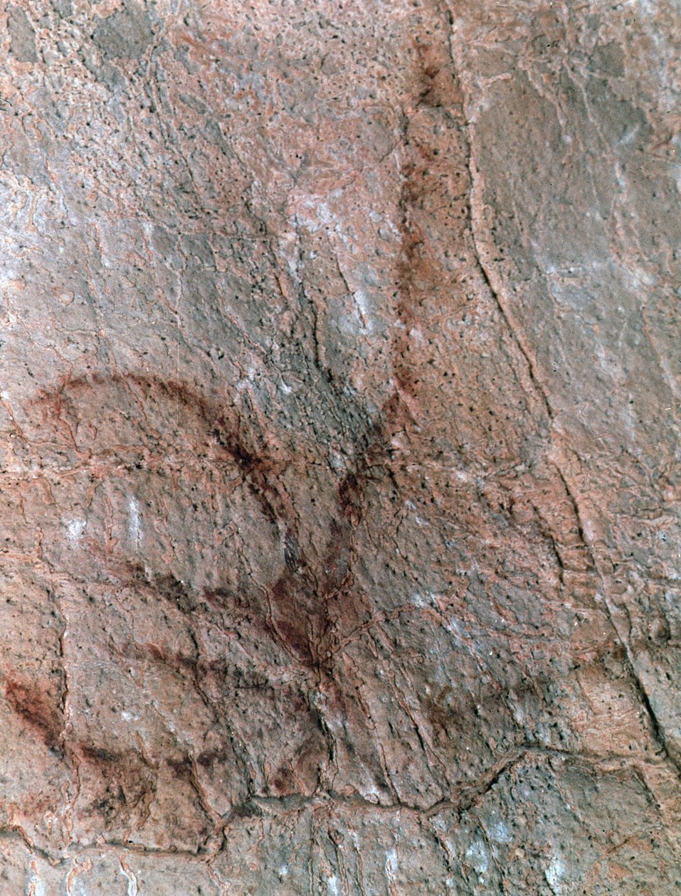  alkotó: Prehistoric Prehistoric