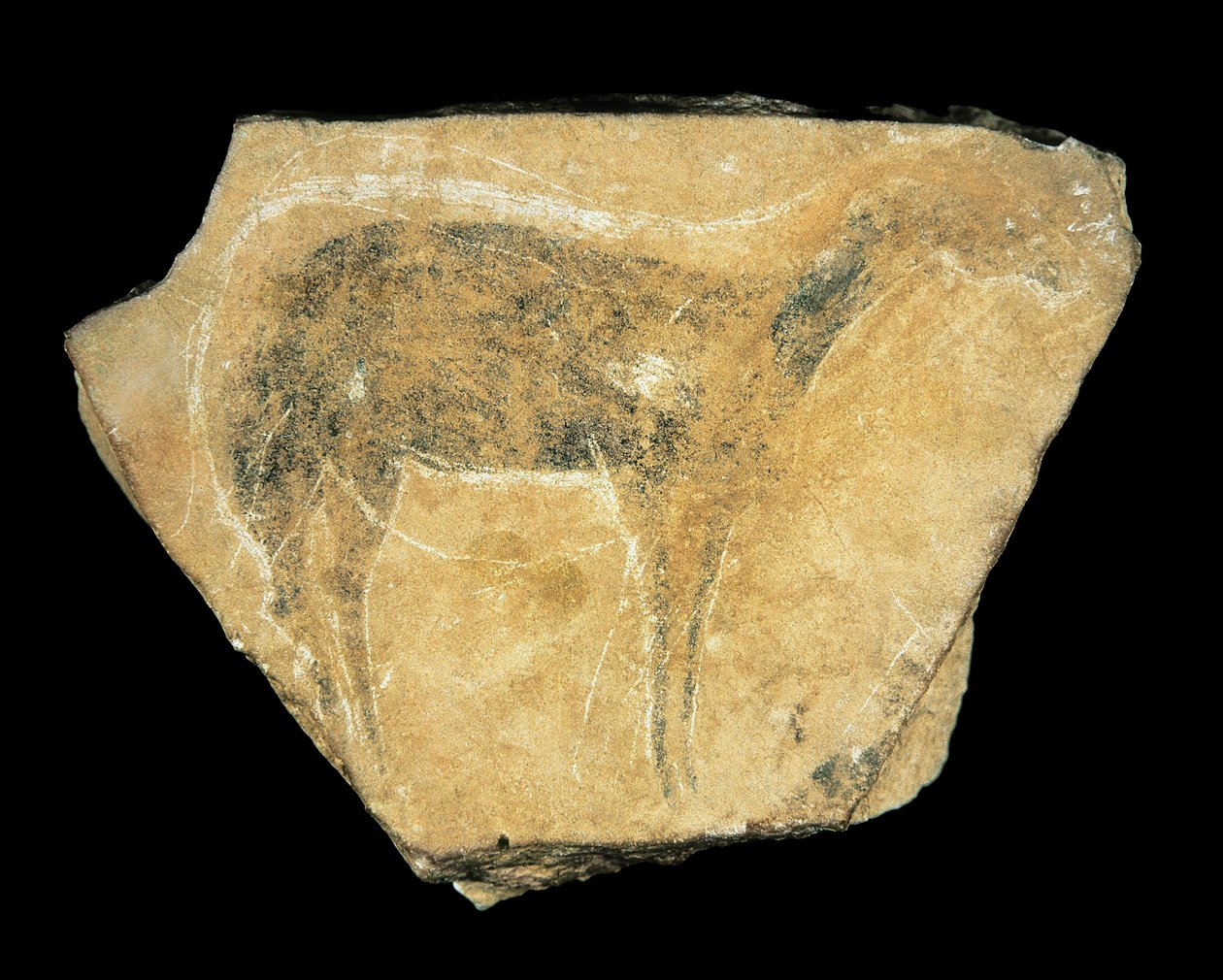 Fekete őzike, Parpallo-barlang, Spanyolország, Felső paleolitikum (festmény) alkotó: Prehistoric Prehistoric