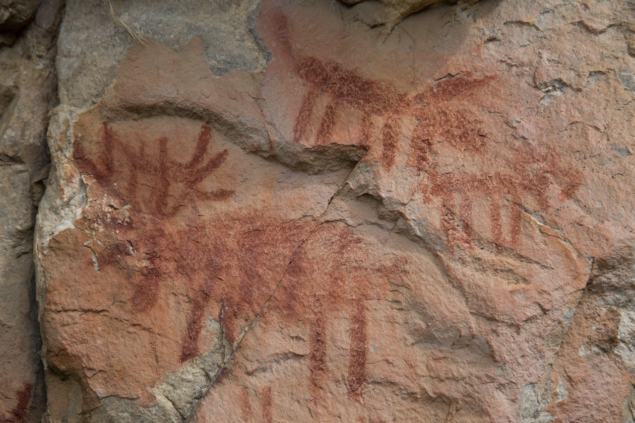 Barlangfestés, Lazac-Challis Nemzeti Erdő (fotó) alkotó: Prehistoric Prehistoric