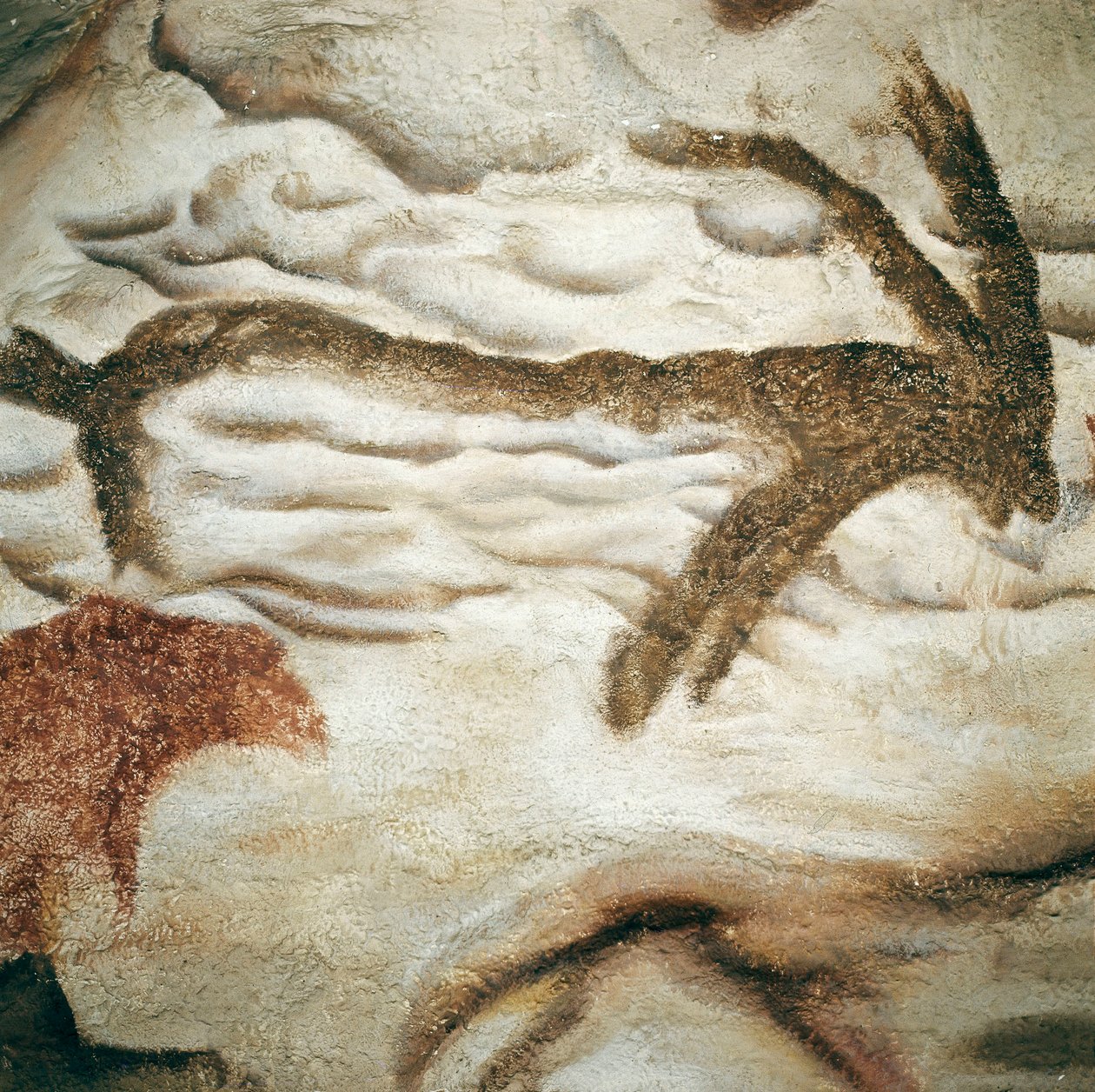 Cervid sziklafestés, Cave de Lascaux, Dordogne, Franciaország, Felső paleolitikum (Magdalén) c. 13000 évvel ezelőtt (festmény) alkotó: Prehistoric Prehistoric