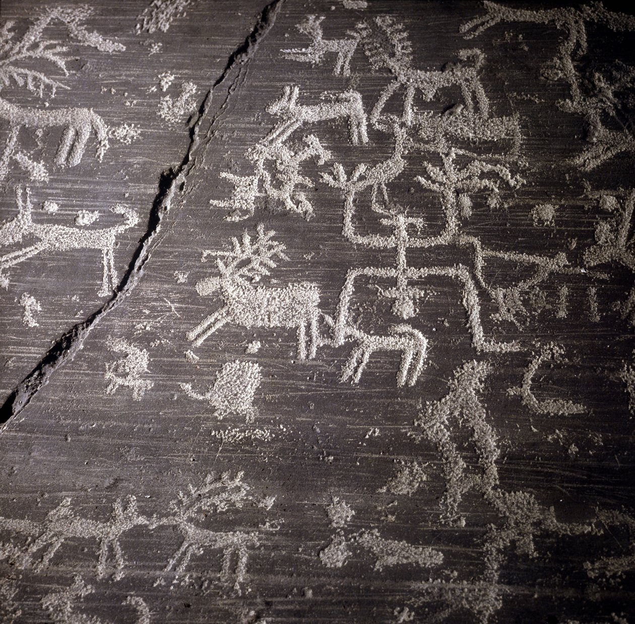 A camunnik civilizációja, őstörténet, sziklaművészet: sírkő, Naquane nagy sziklájának részletei Valcamonicában (Val camonica). Museo archeologico de Milan alkotó: Prehistoric Prehistoric