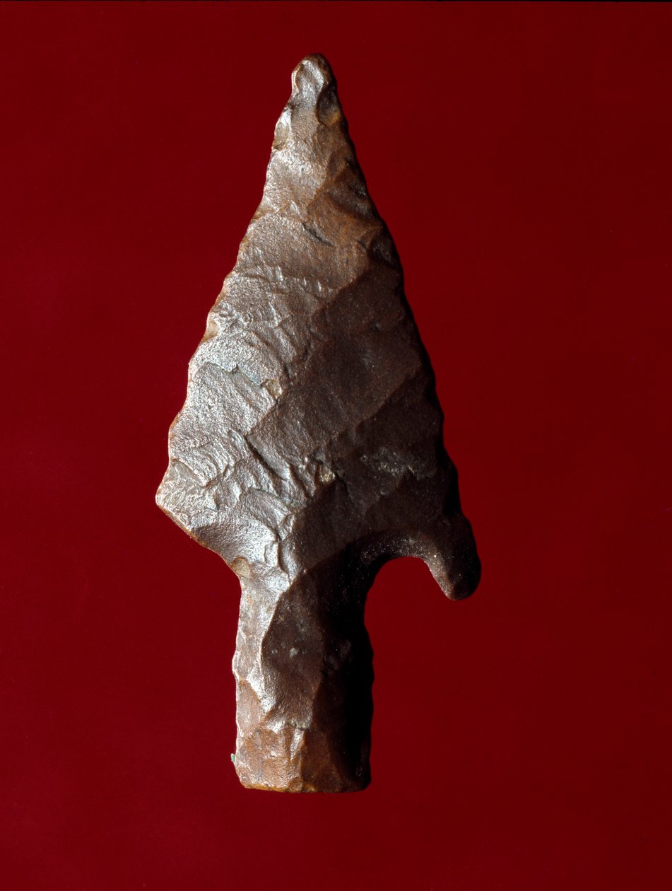 Egyiptomi ókor: nyíl hegye Fayoum (Fayyum vagy Fayum) helyéről Egyiptomban. Predinasztikus időszak. Verone, Museo Civico di Storia Naturale, Olaszország alkotó: Prehistoric Prehistoric