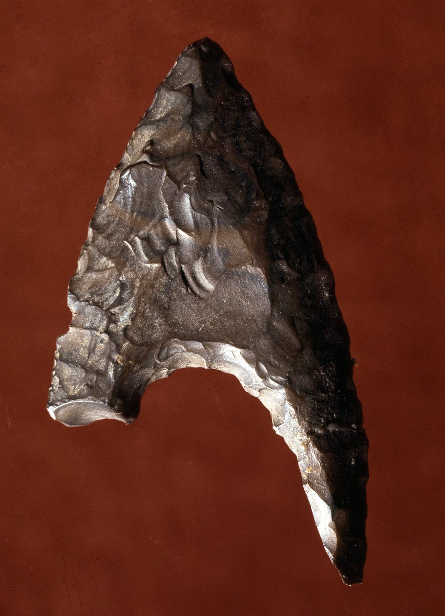 Egyiptomi ókor: nyíl hegye Fayoum (Fayyum vagy Fayum) helyéről Egyiptomban. Predinasztikus időszak. Verone, Museo Civico di Storia Naturale, Olaszország alkotó: Prehistoric Prehistoric